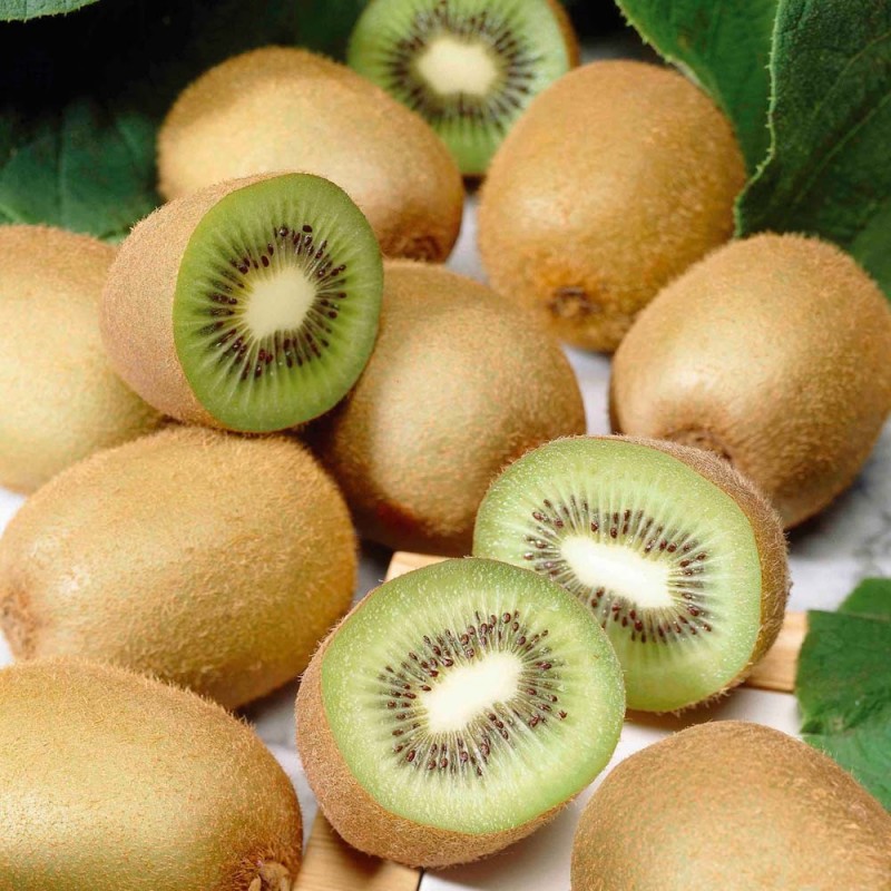 National Gardens Kiwi Fruit Seeds