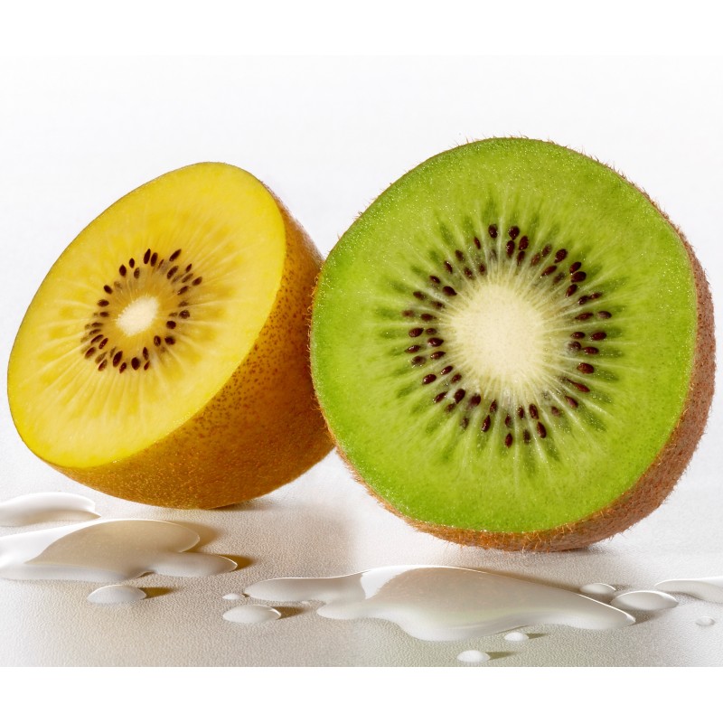 National Gardens Fruit Seeds Combo - Kiwi, Golden Kiwi