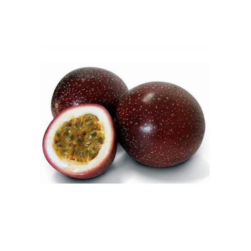 thumbnail image 2 of 25 Organic Purple Passion Fruit Seeds - Passiflora Edulis - Fresh 2023/24 Crop (US Seller) 2 of 5