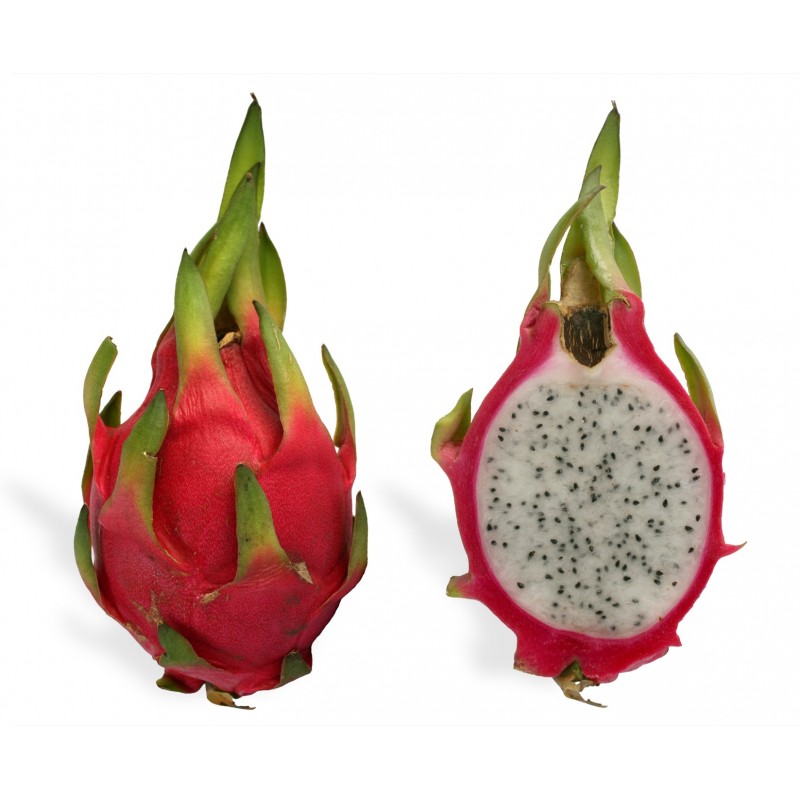 National Gardens White Dragon Fruit Seeds
