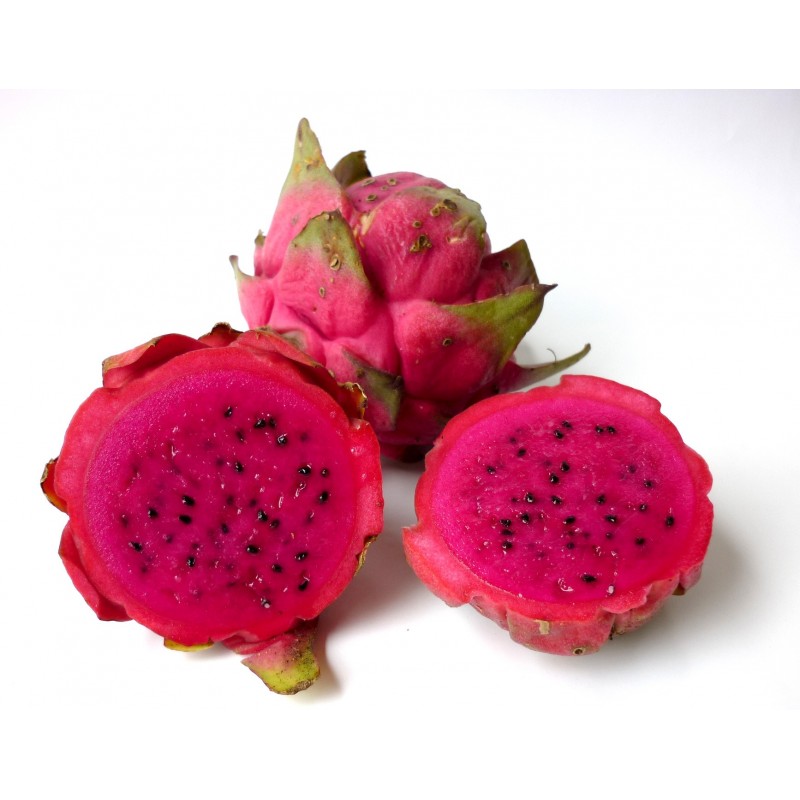 Seeds Shop  Pitaya Red Dragon fruit Seeds - Plant & Growing Guide