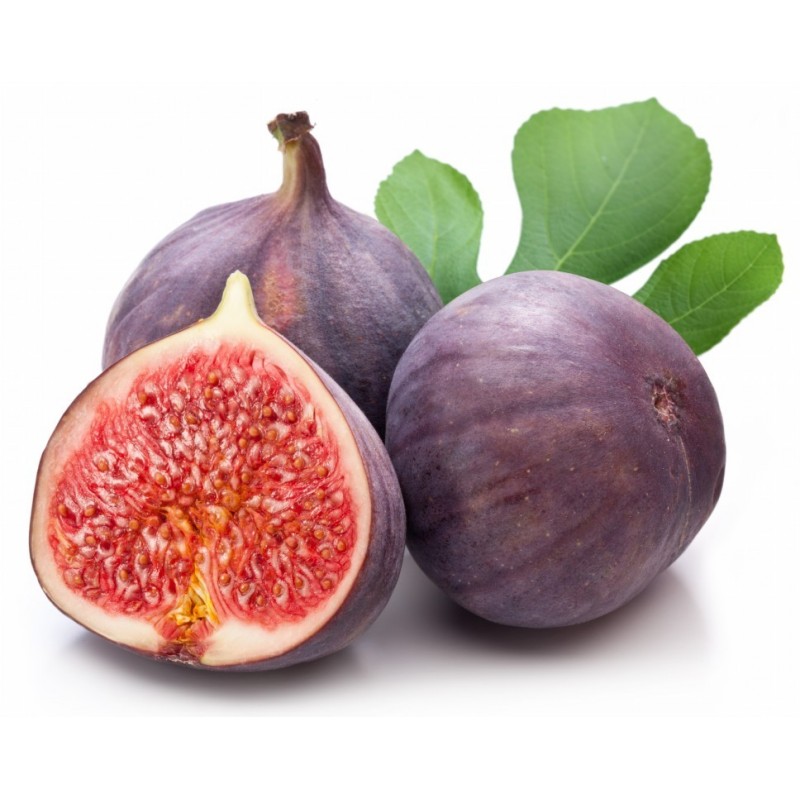 National Gardens Common Fig Fruit Seeds