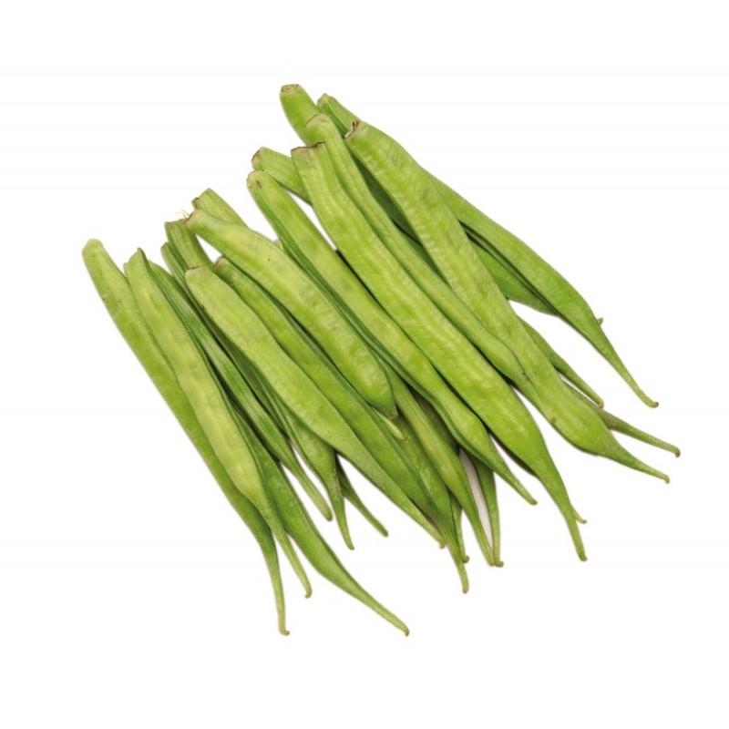 National Gardens Cluster Bean Seeds