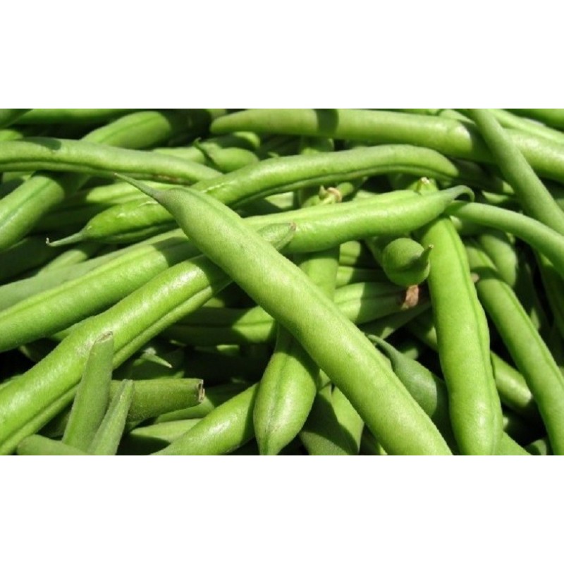 National Gardens Creeper Bean Seeds