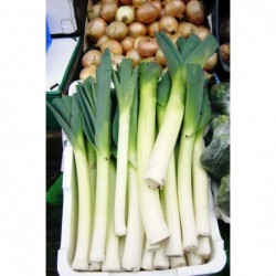 National Gardens American Flag Leek Seeds