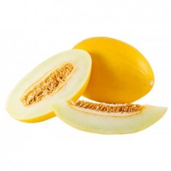 National Gardens Canary Muskmelon Seeds