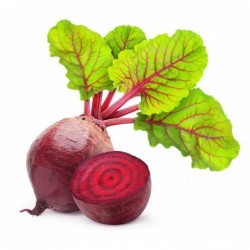 National Gardens Beetroot Seeds