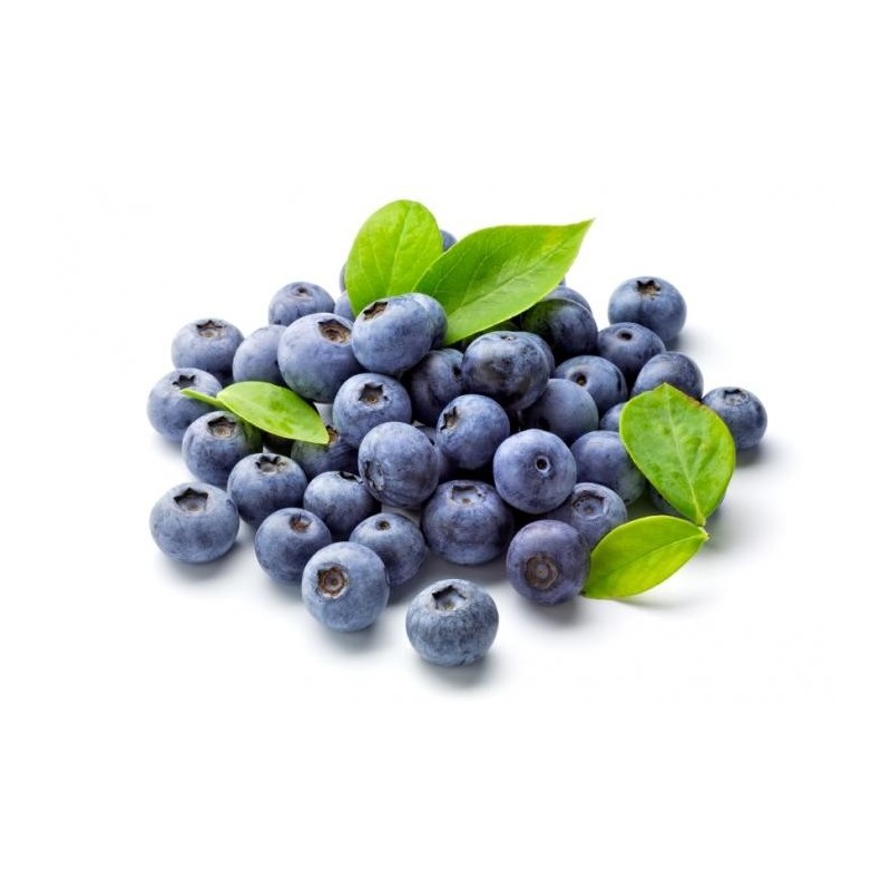 National Gardens Blueberry Fruit Seeds (Pack of 10 Seeds)