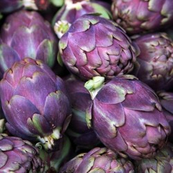 National Gardens Purple Romagna Artichoke Italian Vegetable Seeds