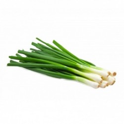 National Gardens Chinese Leek Oriental Garlic Seeds