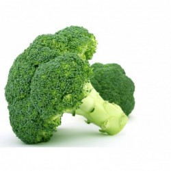 National Gardens De Cicco Broccoli Vegetable Seeds