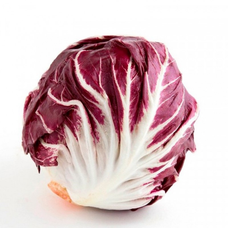 National Gardens Red Cabbage - Radicchio Di Treviso Italian Vegetable Seeds