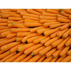 National Gardens Scarlet Nantes Carrot Seeds