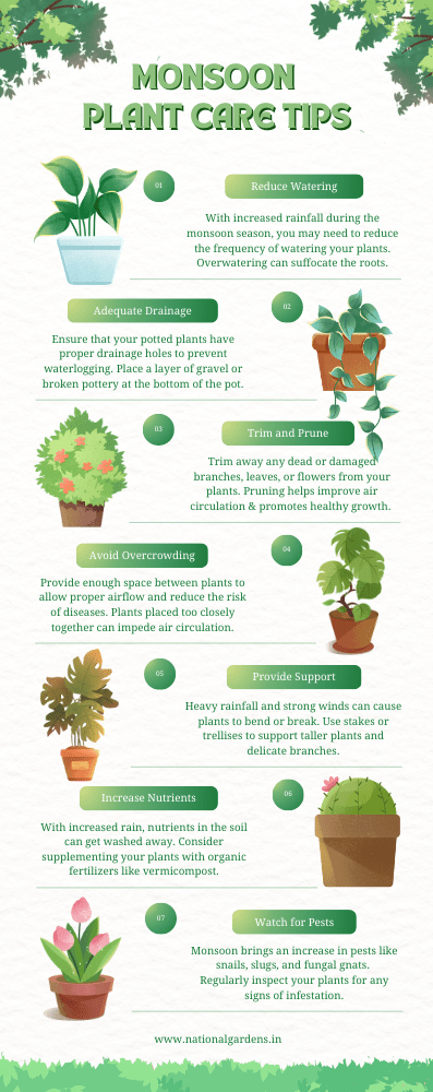 General Instructions - How to Grow Plants from Seeds
